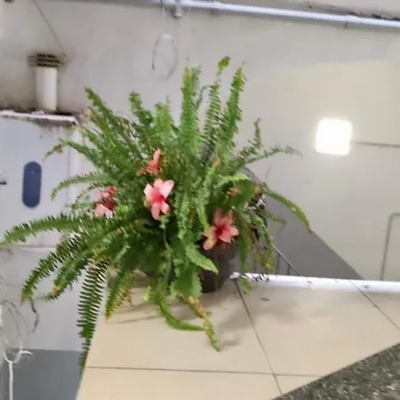 Centro Storico S Chiara House アパート *